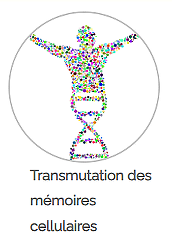 Silhouette humaine et hélice d’ADN symbolisant la transmutation des mémoires cellulaires