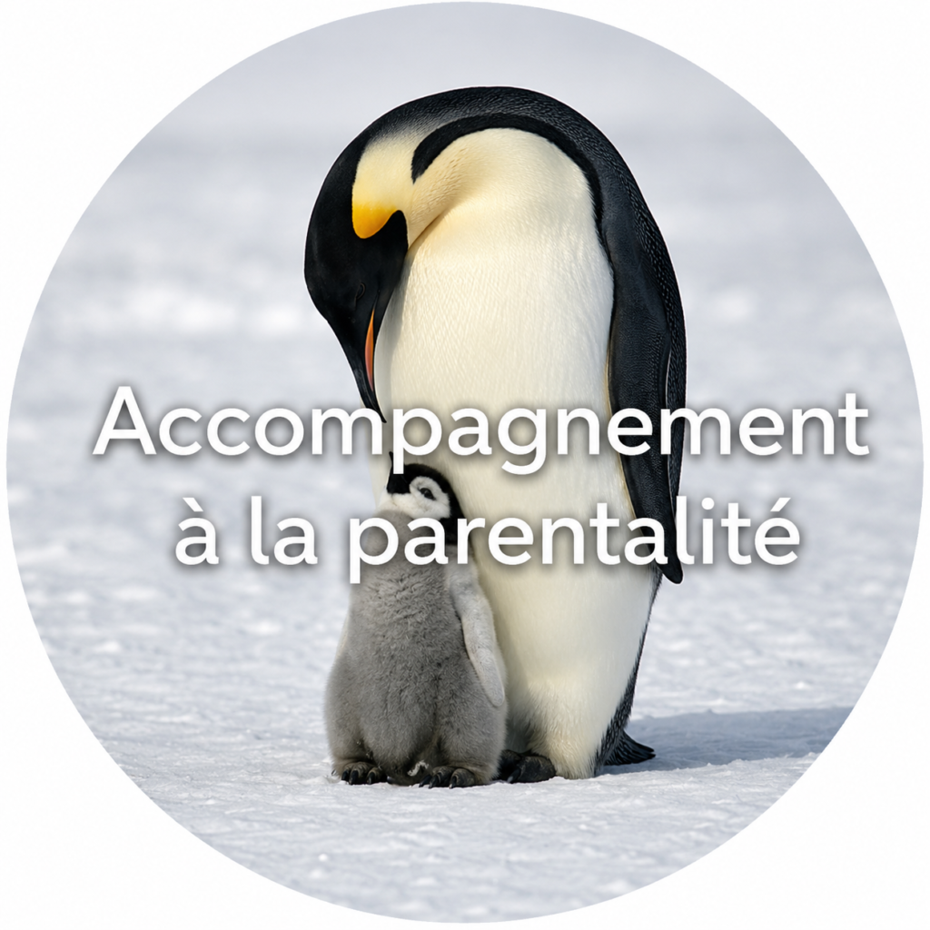 Manchot adulte et son petit sur la banquise, symbolisant l’accompagnement à la parentalité