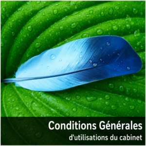 Plume sur une feuille verte illustrant les conditions générales d’utilisation du cabinet. Le cabinet en pratique