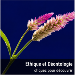 Plante sous un ciel bleu illustrant l’éthique et la déontologie