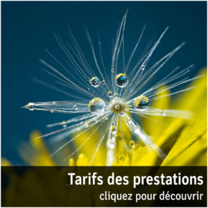 Fleur et gouttes d’eau illustrant les tarifs des prestations